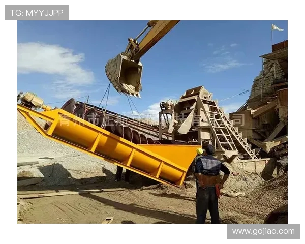 挖掘机沙漠环境防沙滤清器升级